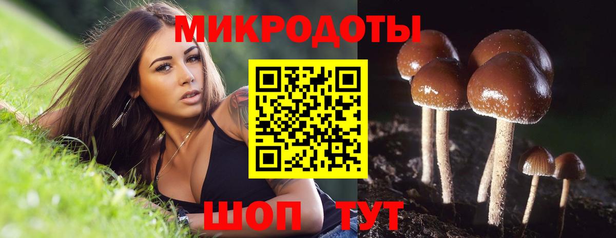 Псилоцибиновые грибы Cubensis Добрянка