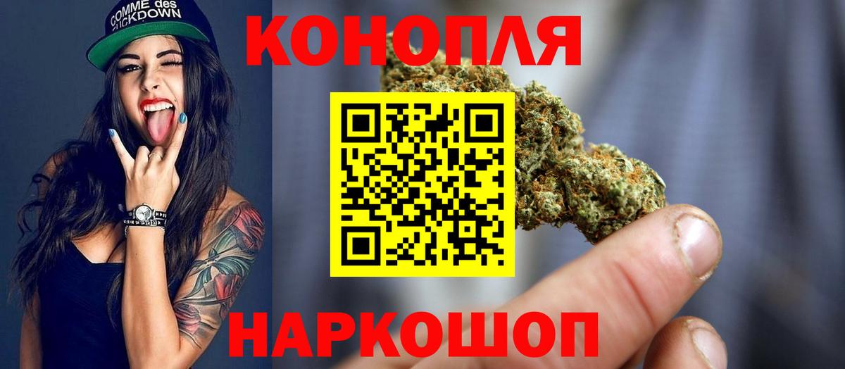 Конопля сатива Добрянка